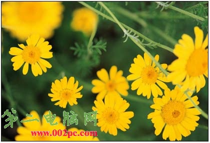 �ڶ�������psʵ������PS�������յ�Ч��