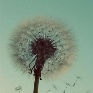 win7安装后无法联网六招解决Windows 7补丁问题